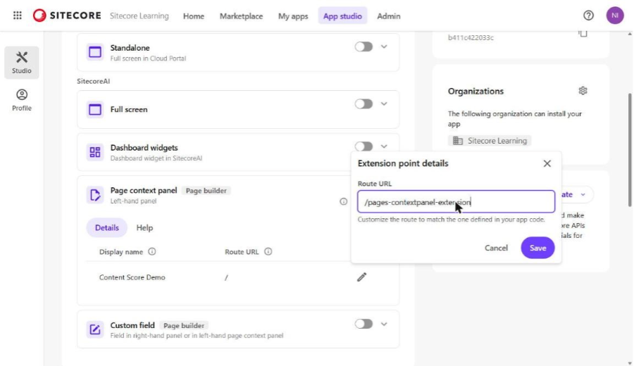 Extension point details – Route URL