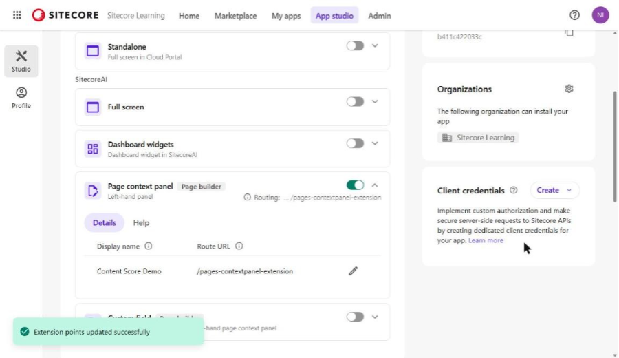 Page context panel enabled with the route URL