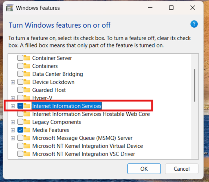 IIS