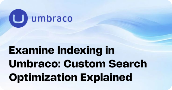 Examine Indexing in Umbraco: Custom Search Optimization Explained
